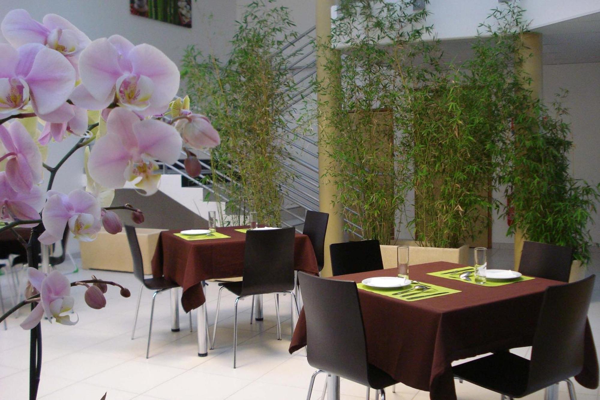 Hotel La Palmeraie 康讷巴瑞 外观 照片