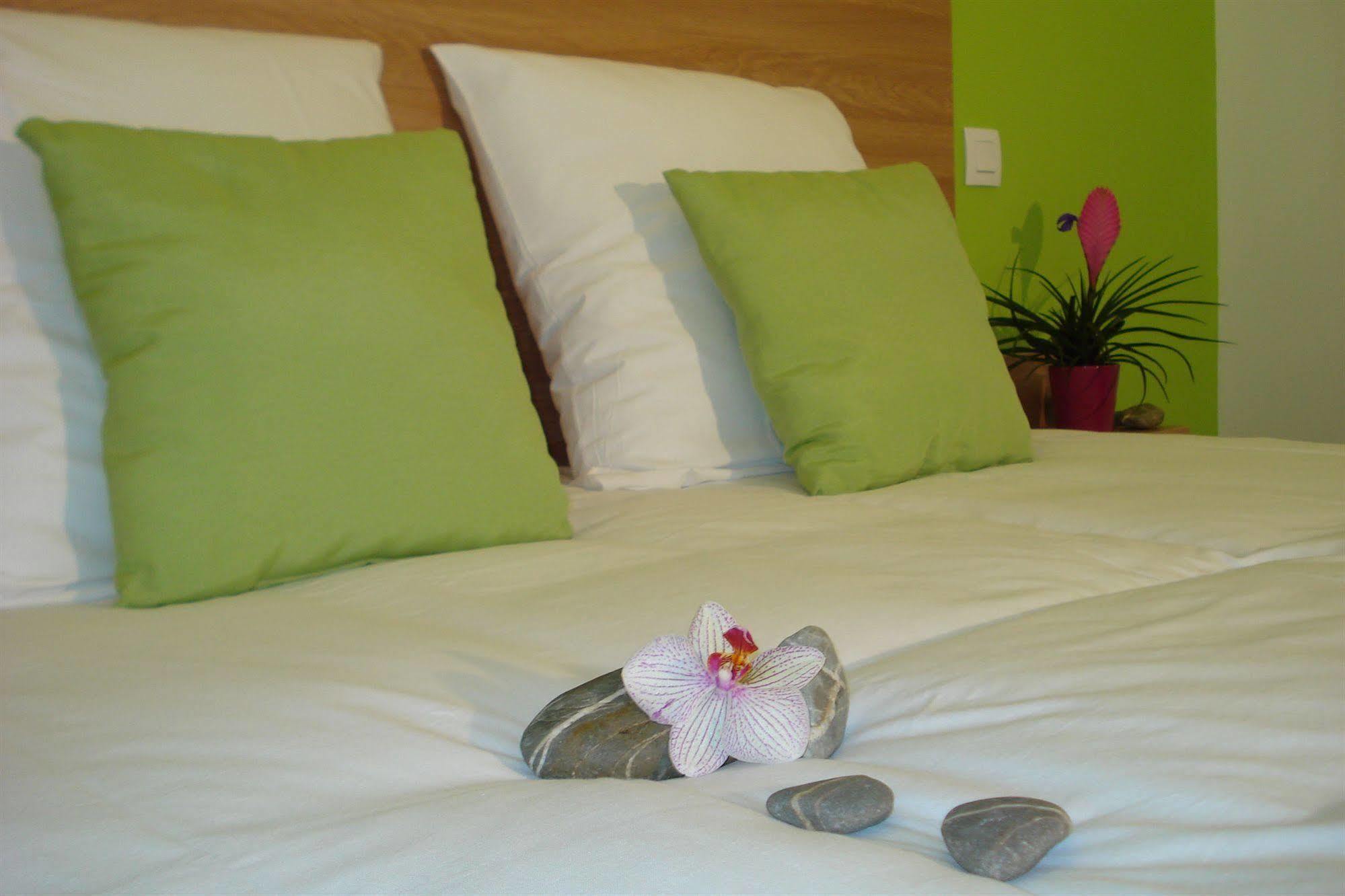 Hotel La Palmeraie 康讷巴瑞 外观 照片